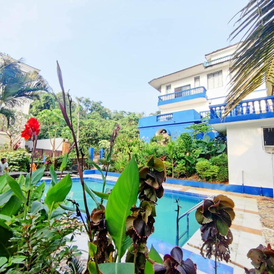 Amazing Hilltop 4 Bhk Villa With Private Pool Near Candolim Ngoại thất bức ảnh